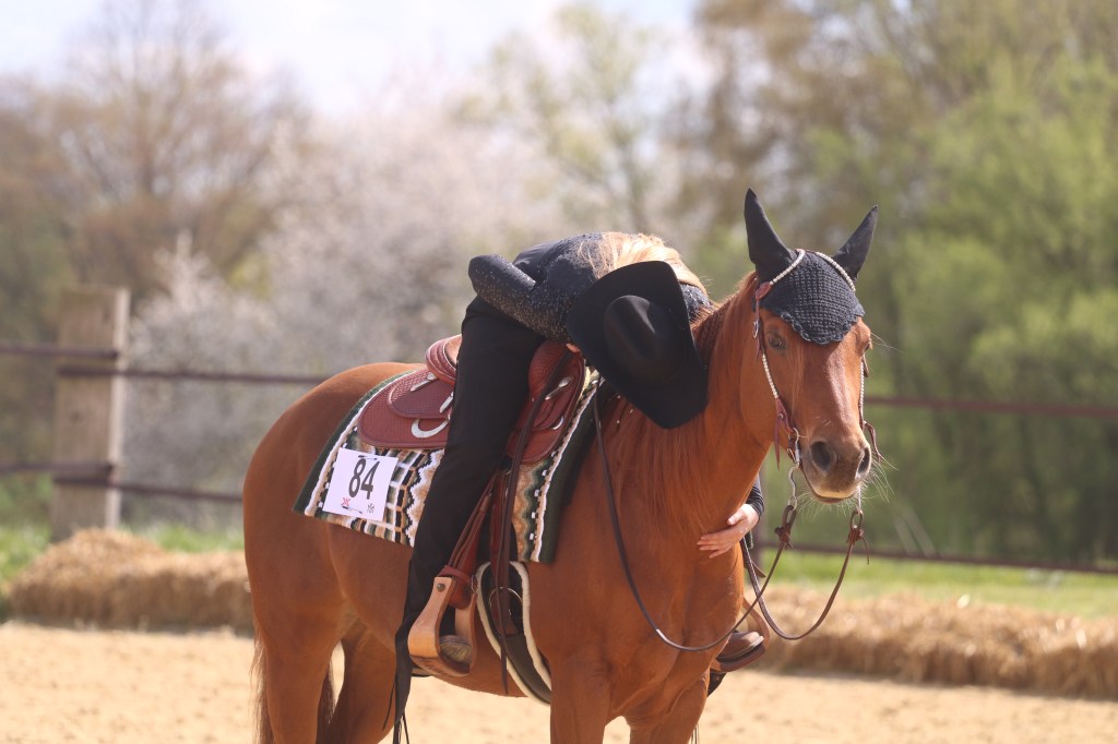 Westernreiten – Lena Huwald im Trabschritt